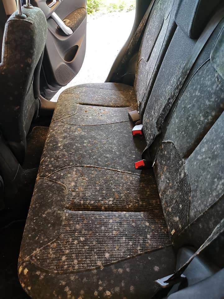 Nettoyage intérieur automobile Réunion