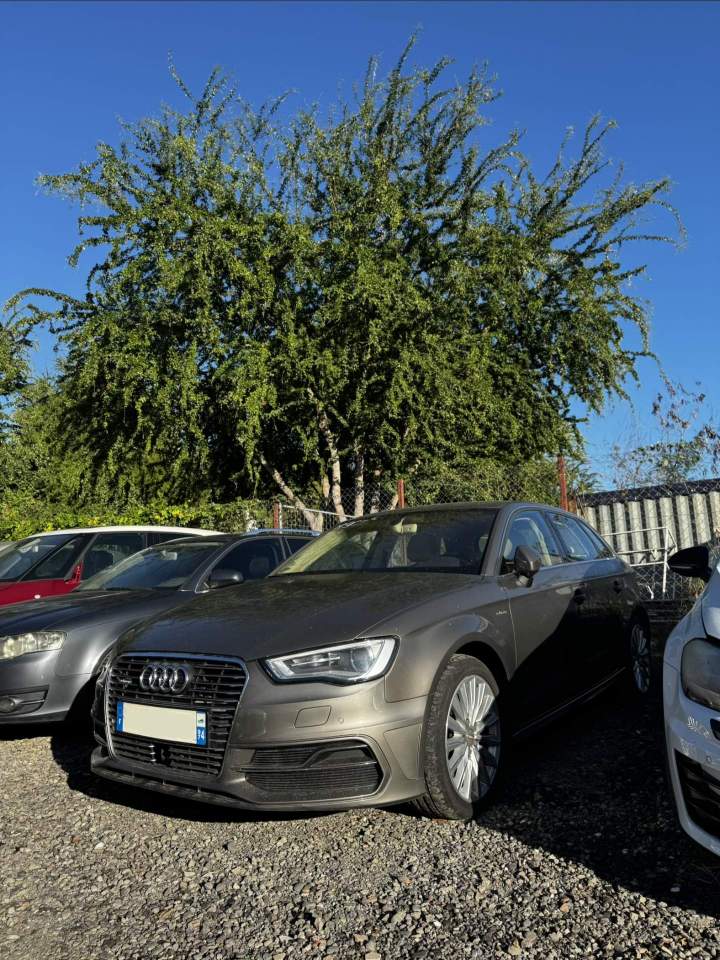 Audi a3 etron